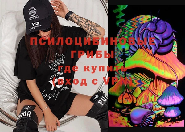 индика Алексеевка